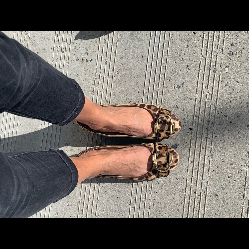 Cheetah Flats